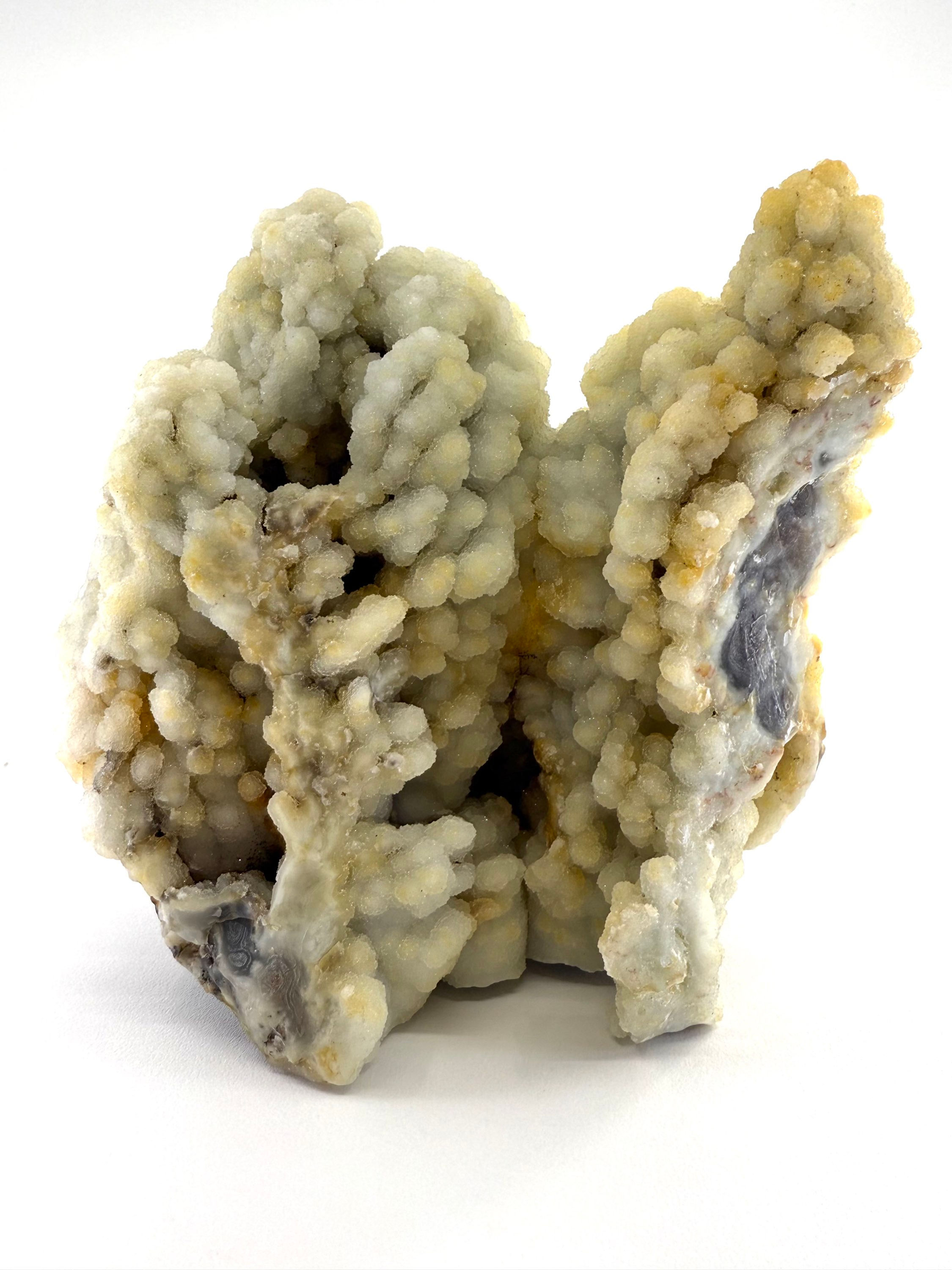 Coral Chalcedony with Prehnite Inclusions