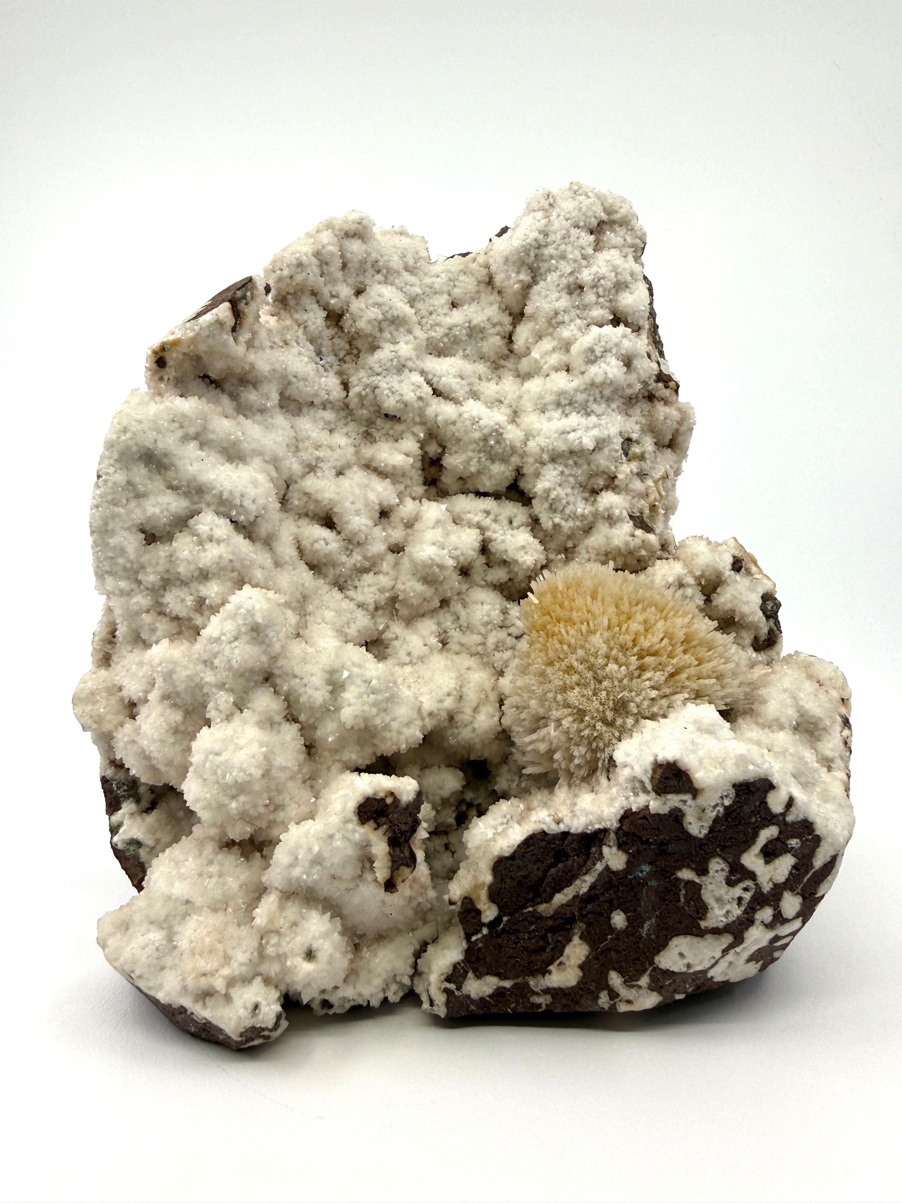 Scolecite with Thomsonite Inclusions on White Coral Chalcedony