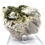 Thumbnail: Green Tourmaline & Quartz On Matrix