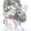 Thumbnail: White Apophyllite Crystals, Stilbite On Coral Chalcedony