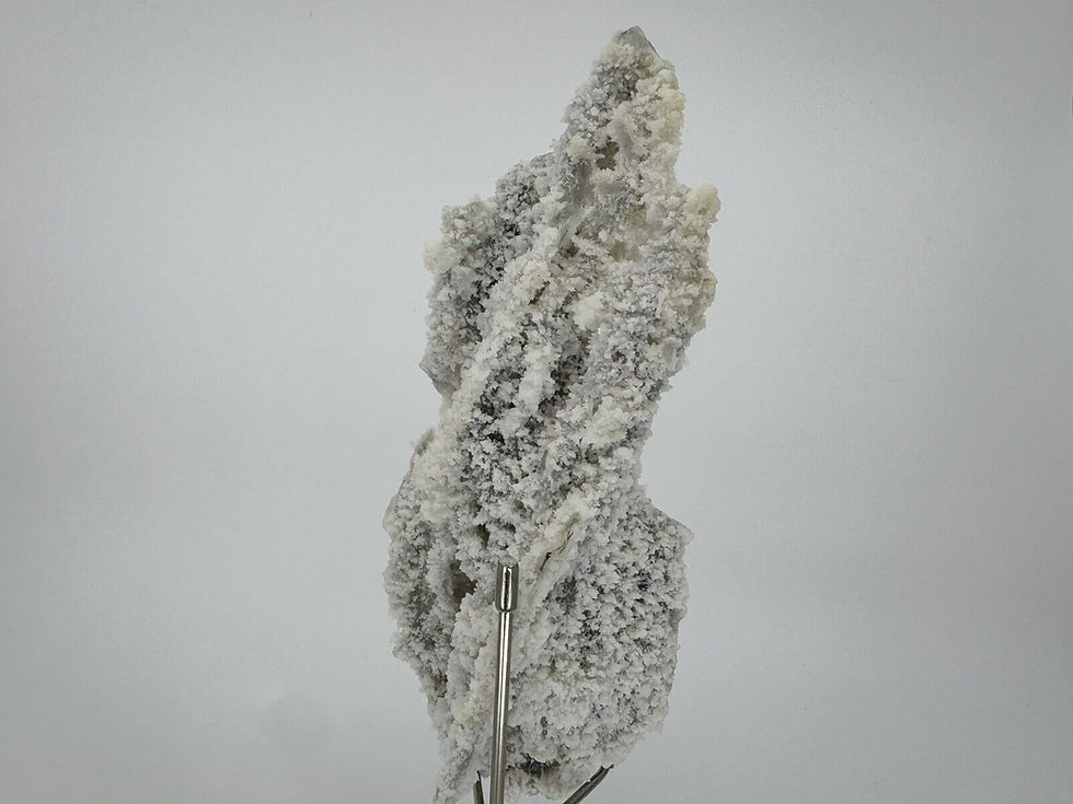 Thumbnail: Coral Chalcedony Mineral For Sale