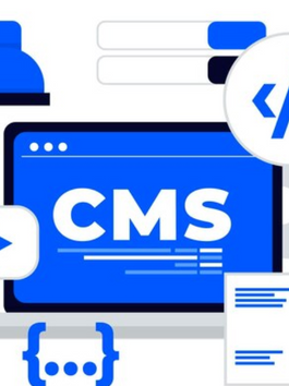 Why Choose Our Website Development Company in Delhi for Your Next Project