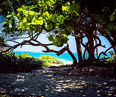 DSC_2416.jpg