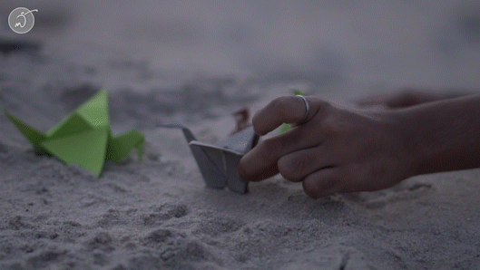 World Record 2_2.gif