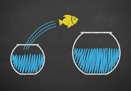 Encourage Employees to Reach Their Full Potential with Career Hub