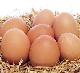 BUFF ORPINGTON EGGS.jpg