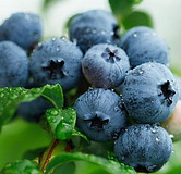 sweetheart blueberry.jpg