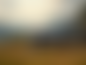 Top Car Rentals for Family Trips in Bangalore