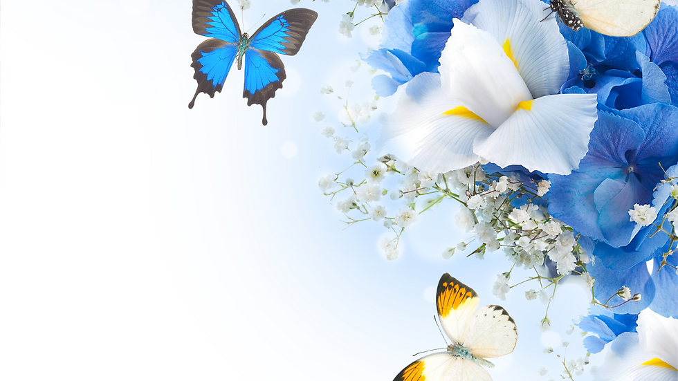 Untitled design - 2025-08-19T074802.671.png