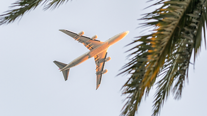 A plane soaring into the sky with palm trees in the foreground, departing from Las Vegas.