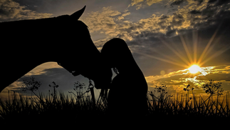 Silhouette of a woman's head leaning against the horse's face, capturing a soul-stirring moment of calm and connection.