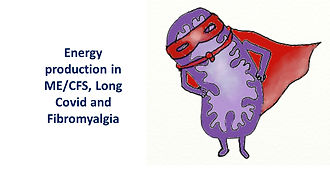 Energy production and mitochondria.jpg