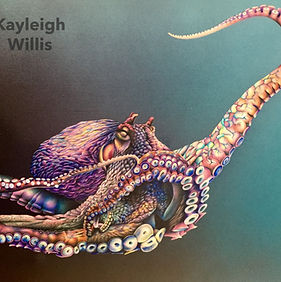 Hoolio (2020) _watermark.JPG