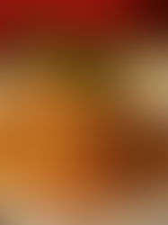 Easy Like Sunday Mornings…