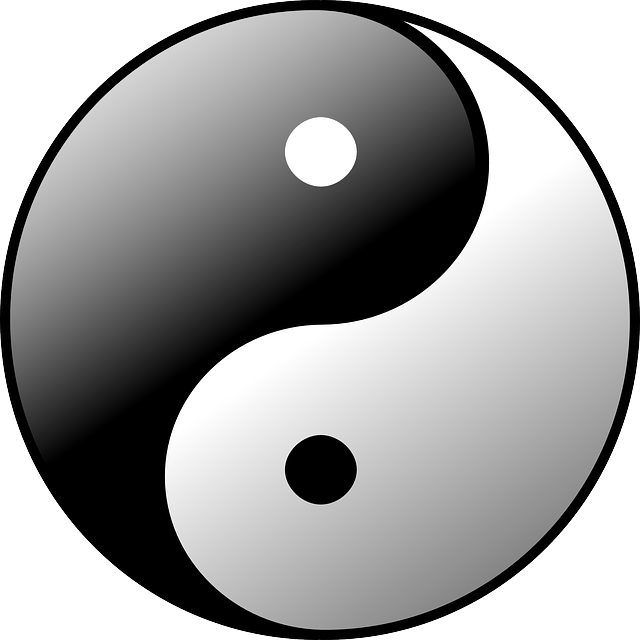 symbole du yin et du yang en noir et blanc