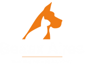 Beaux Aires logo white and orange colourway