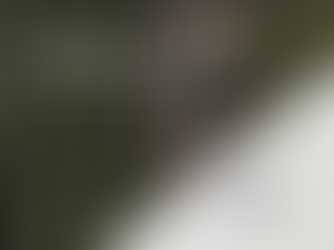 PAI Partners' Acquistion of Innovad Group