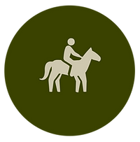 ICONOS WEB-03.png
