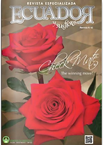 Revista 42