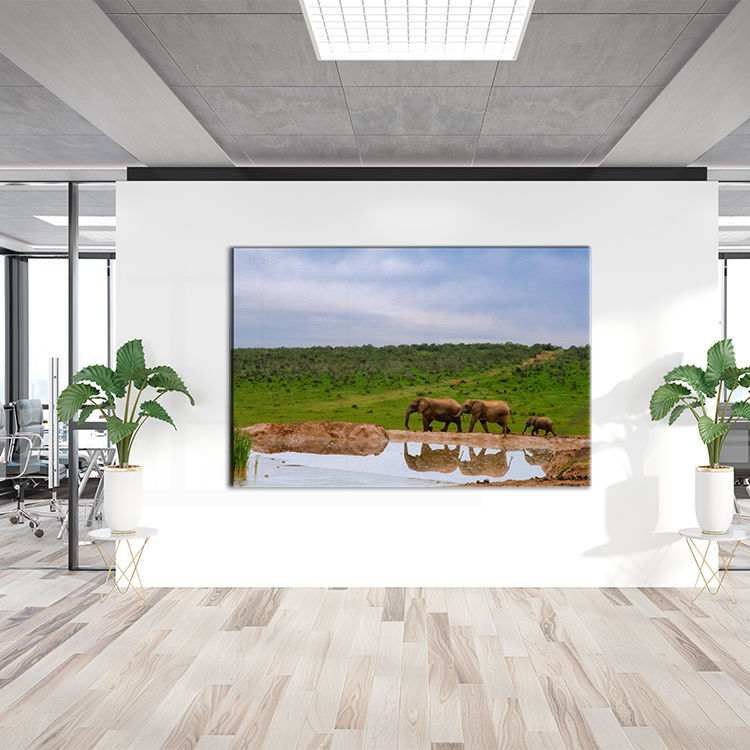 Thumbnail: Addo Elephants