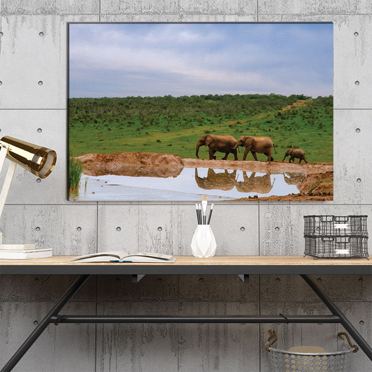 Thumbnail: Addo Elephants