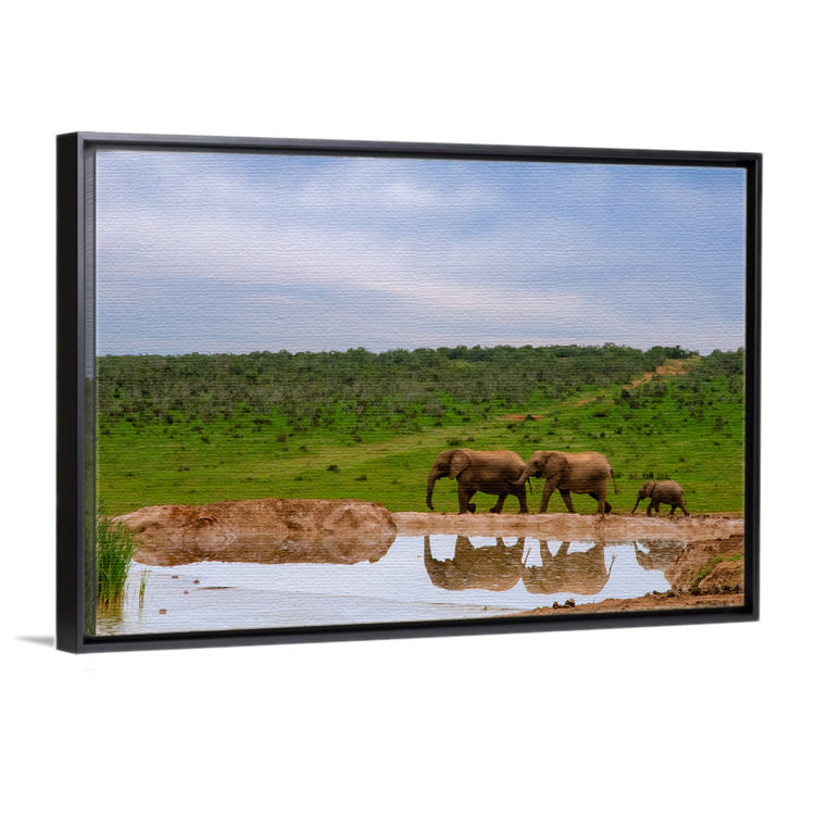 Thumbnail: Addo Elephants