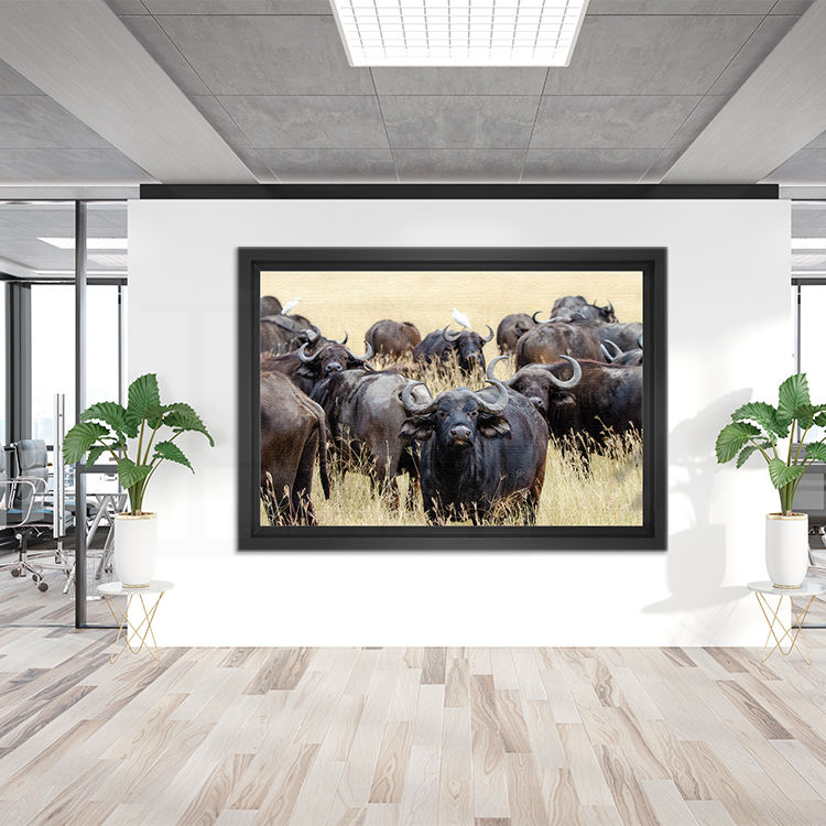 Thumbnail: Ngorongoro Cape Buffalo