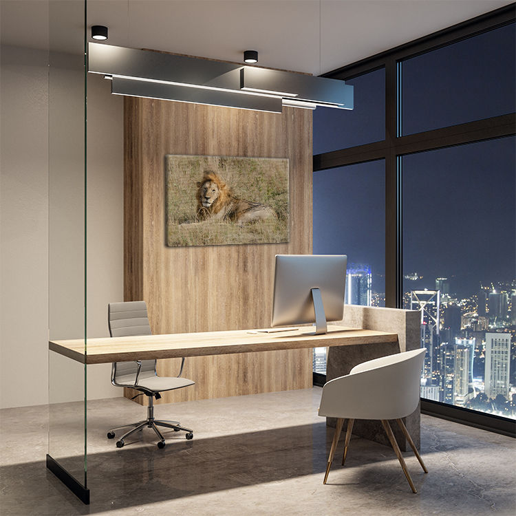 Thumbnail: Serengeti Lion