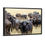 Thumbnail: Ngorongoro Cape Buffalo