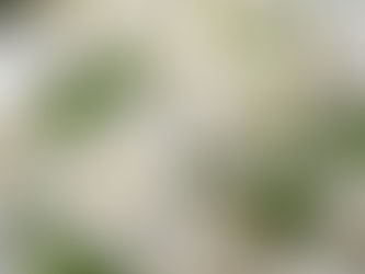 The Art of Aroma: Flower Arrangements as the Perfect Combo for an Excellent Scent