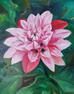 Pink Flower