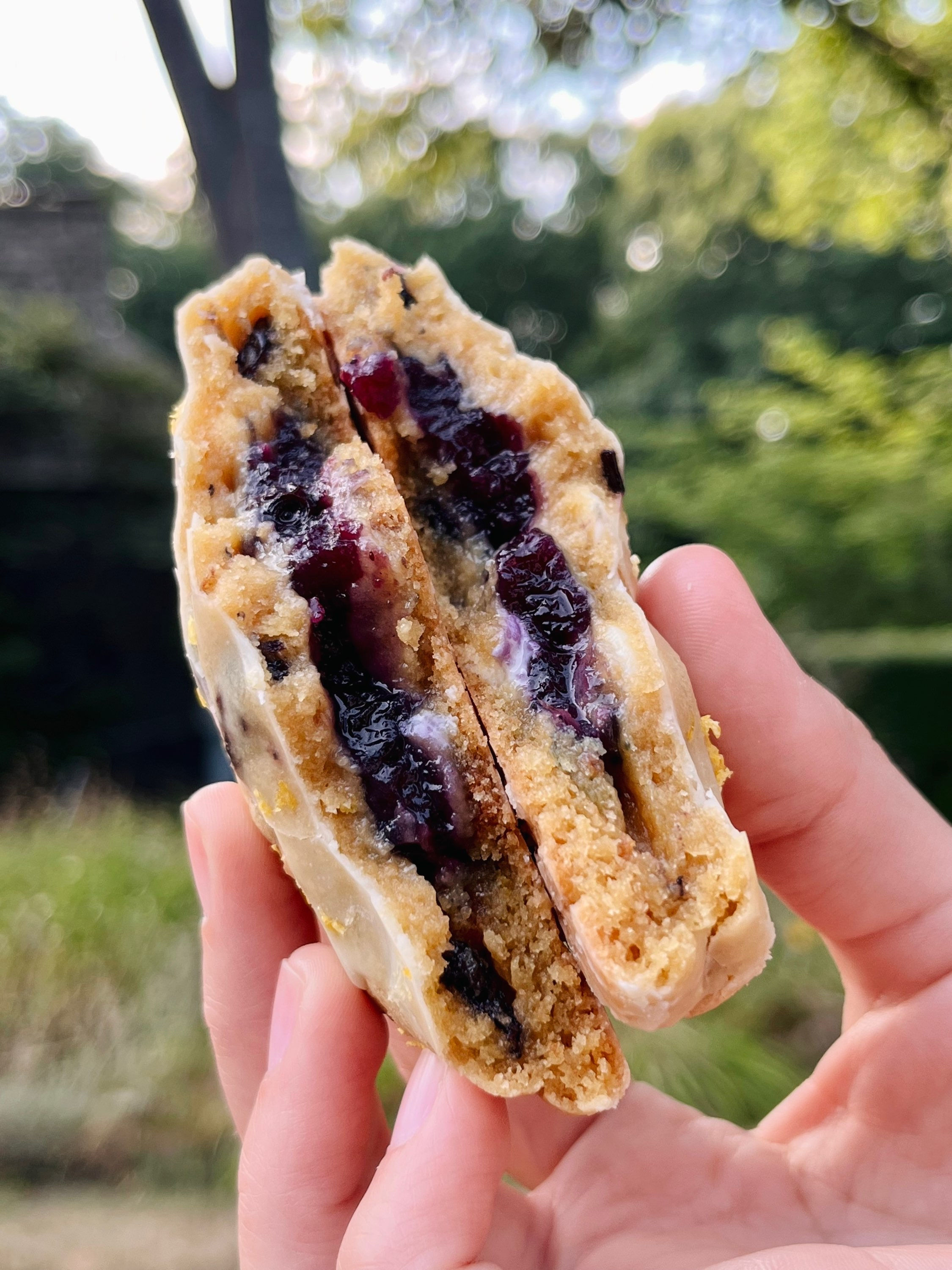 LEMON BLUEBERRY BLISS