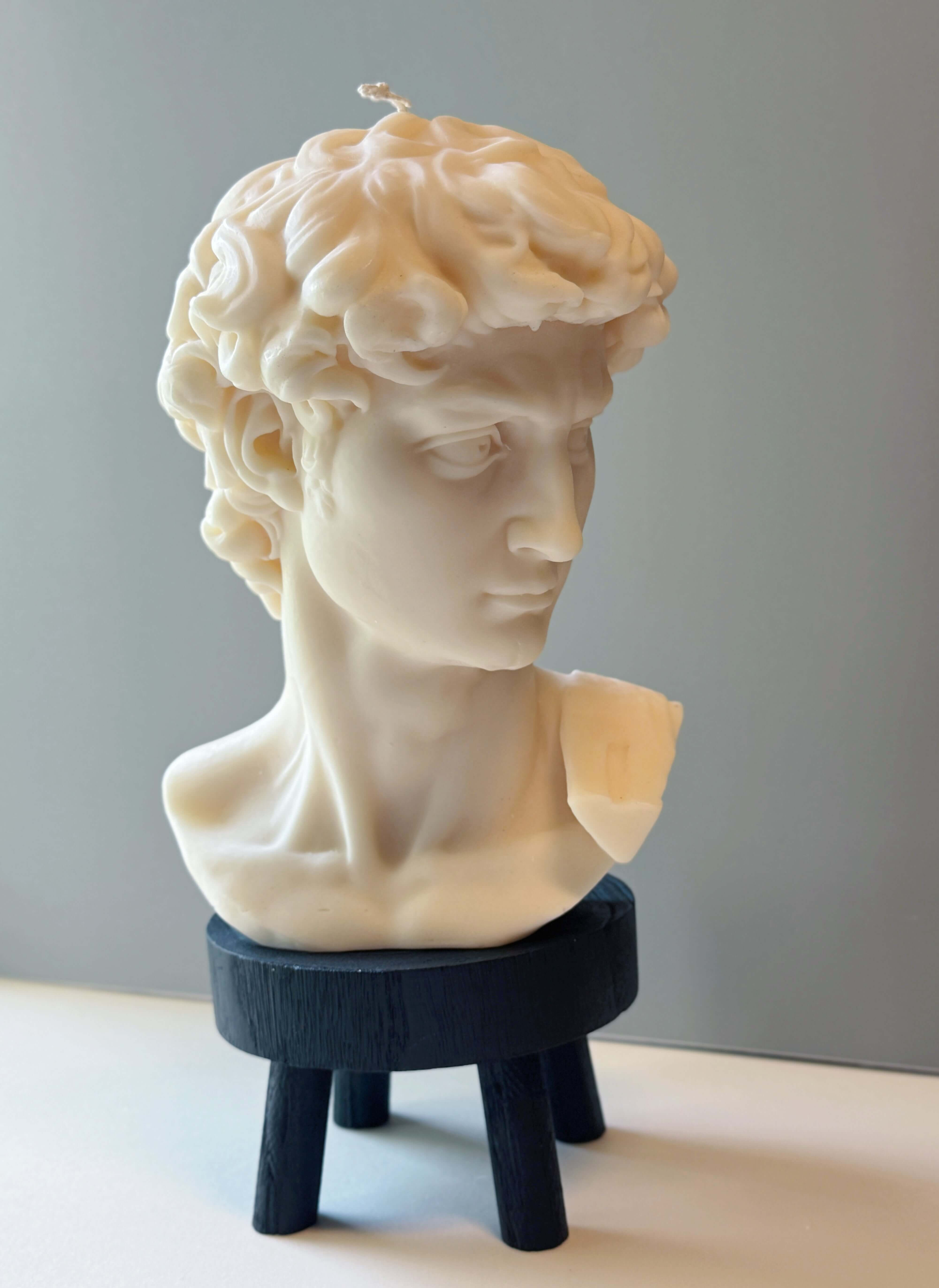 Bust of Michelangelo's David sculpture