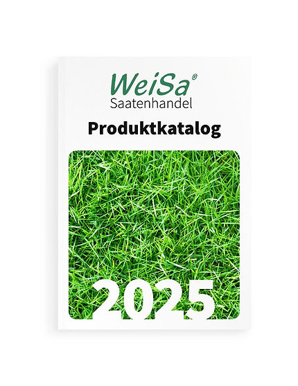 RPL-2025-Cover-Mockup-web-800x952