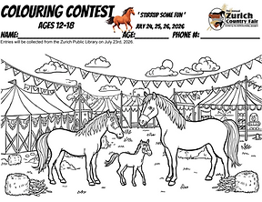 Colouring Contest Zurich Country Fair Ages 12-18