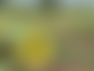 The world never stops moving