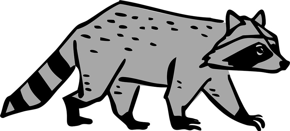 Trash Pandas waste removal company mascot