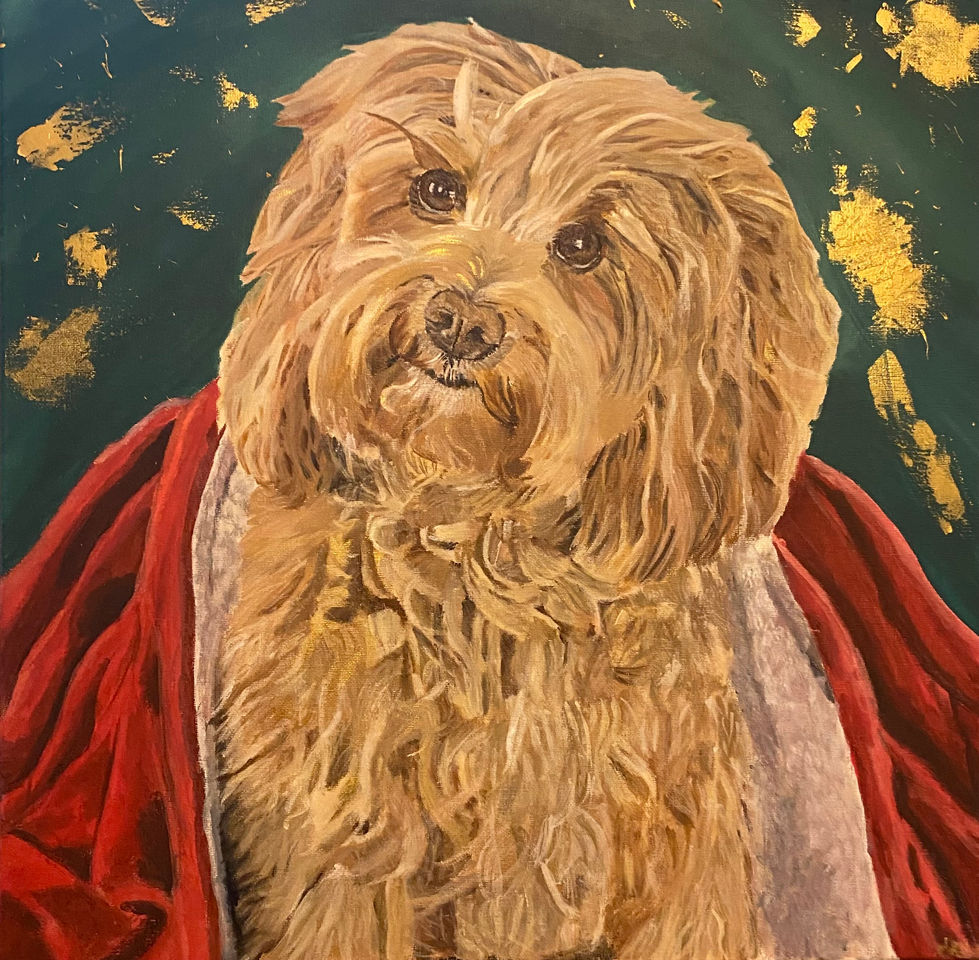 Pet portraits dog commissions