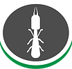 Inspection parasitaire pour diagnostic termites