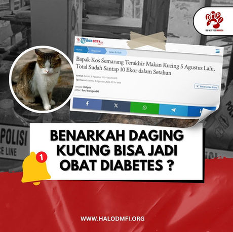 DAGING KUCING BISA JADI OBAT DIABETES?