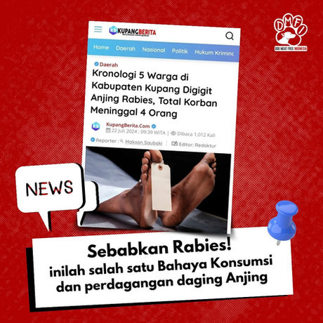 Sebabkan Rabies! - inilah salah satu Bahaya Konsumsi dan perdagangan daging Anjing