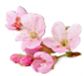 Photo 6.png