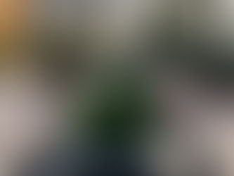 Trip to Mexico on a Budget: How I Traveled to Mexico for Less Than $500