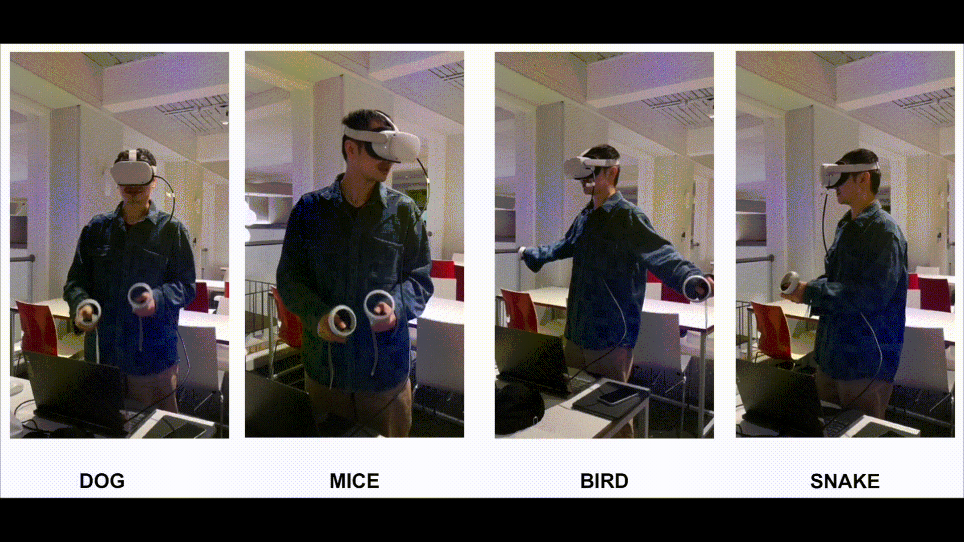 movement - HD 1080p.gif