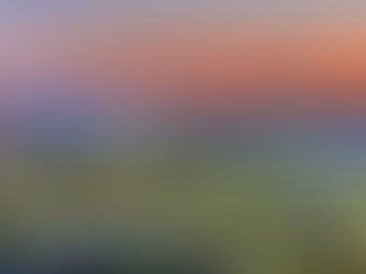 プロジェクト事例/失敗プロジェクト 3 