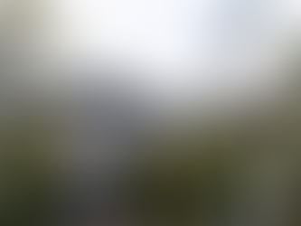 SAP S/4 HANA Cloud 2