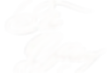 Copy_of_The-removebg-preview.png