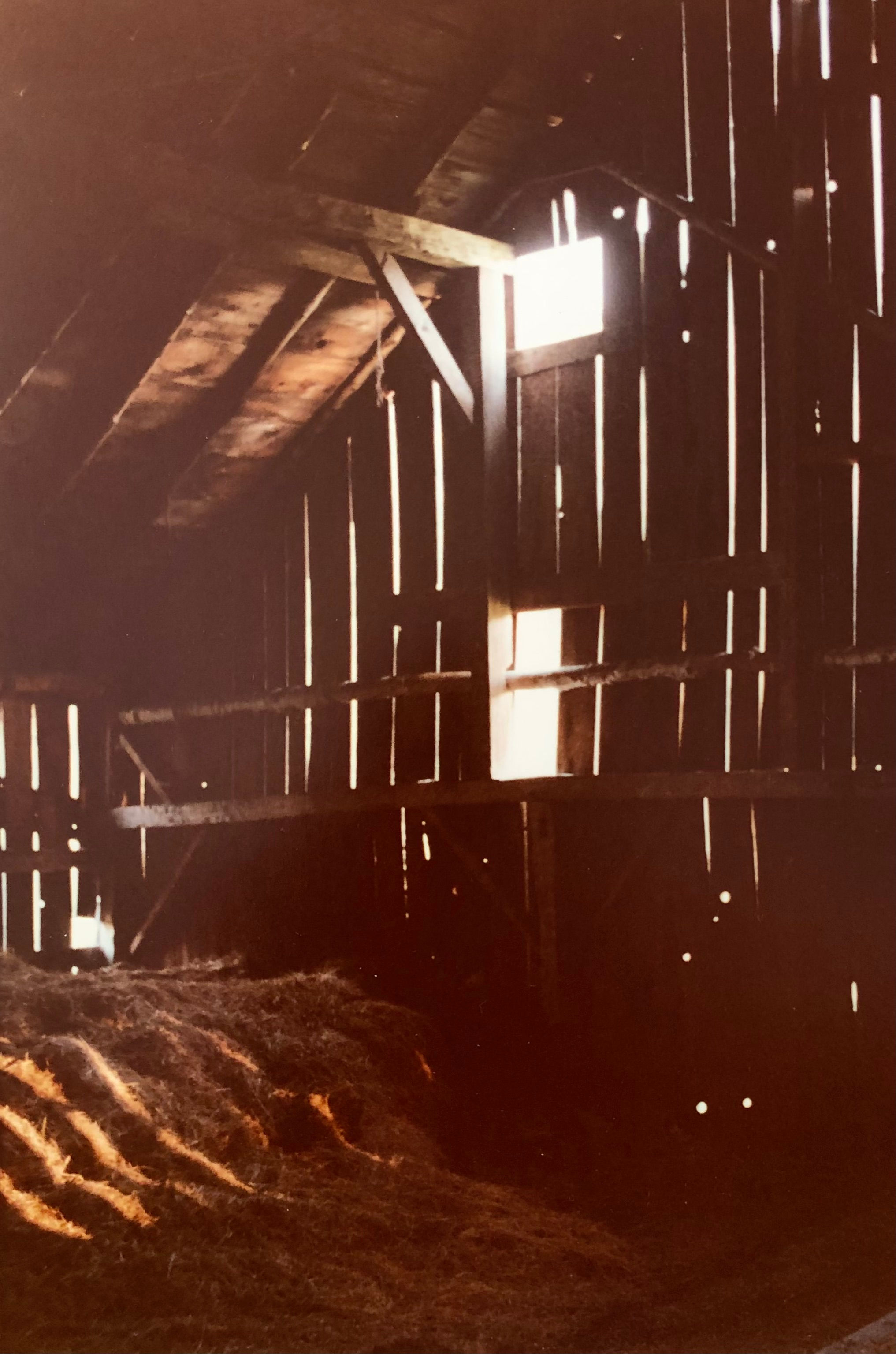 Shining Through by Kathleen Gerlach