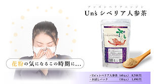 シベリア人参茶 | Acsysun Shop