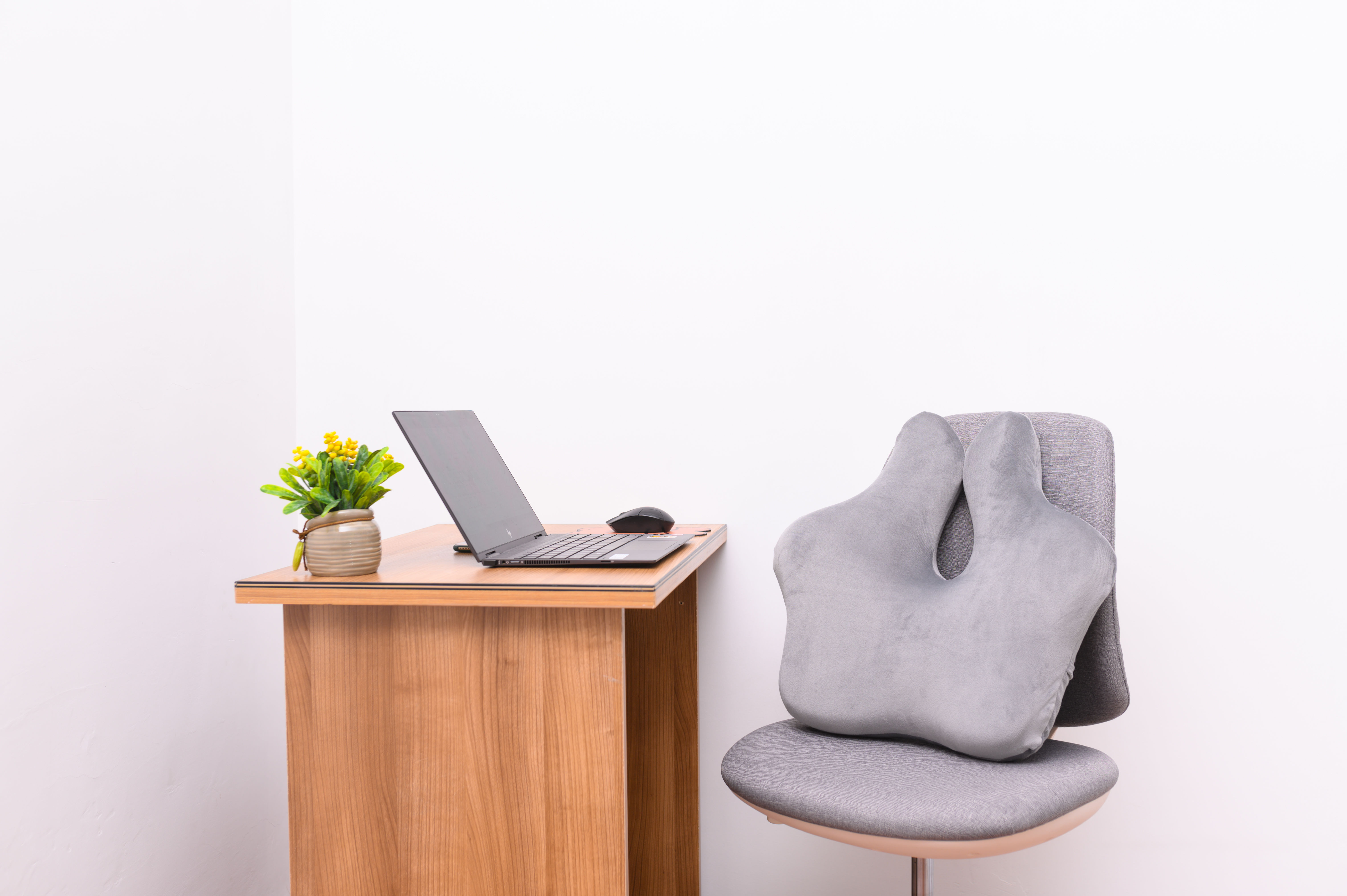 バックサポートクッション